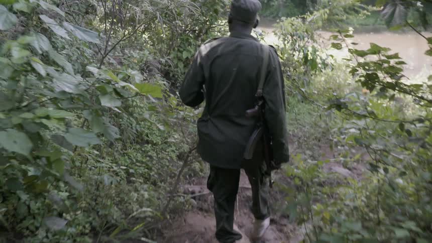 An armed soldier walks in a forest