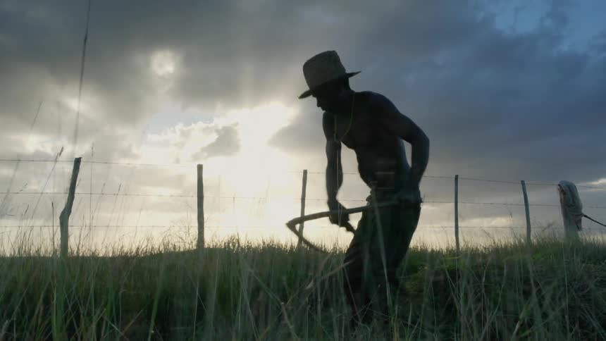 Man cuts grass on a farm at sunset