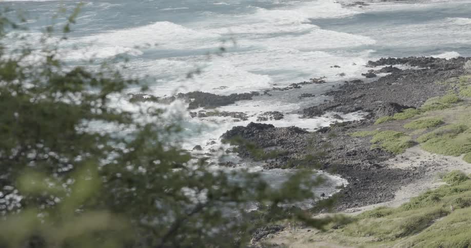 Ocean waves wash ashore a beach