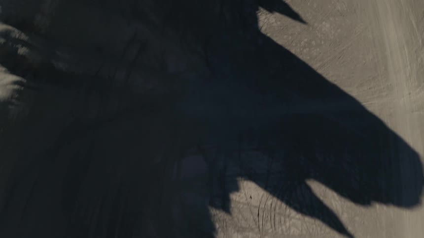 Shadows cast on the dirt hills