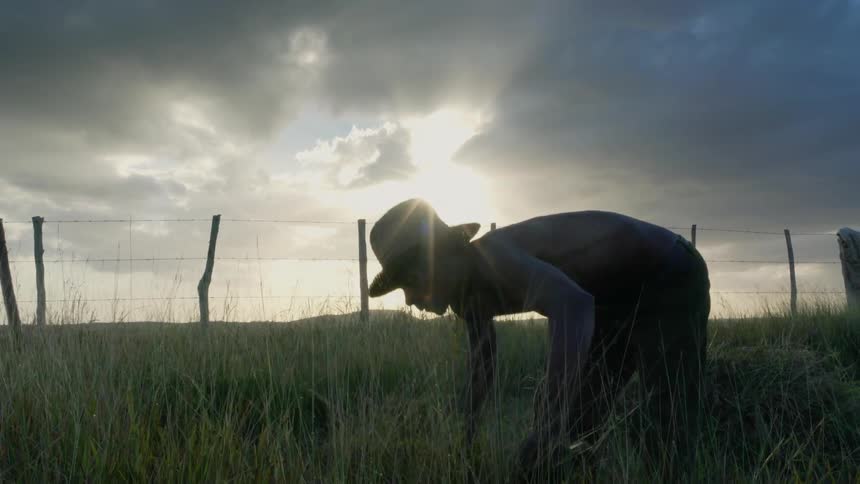 A farmer is hacking at weeds with a machete