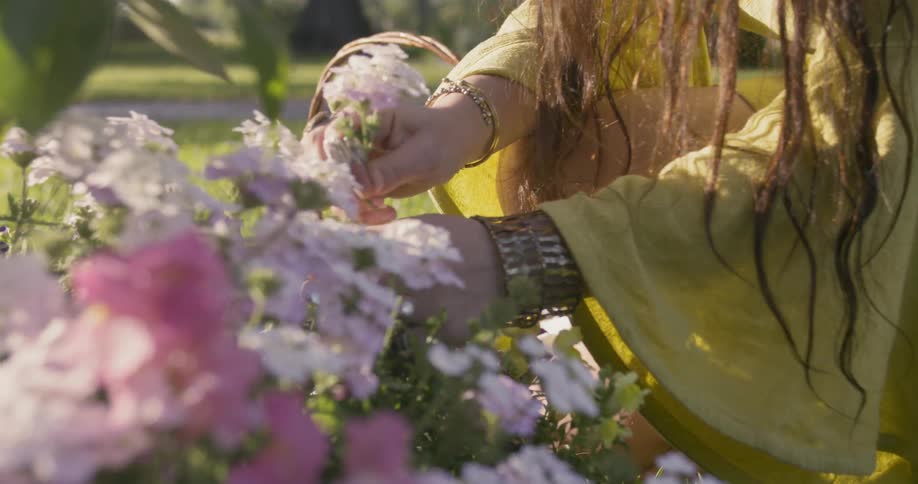 Woman picks flowers on a sunny day