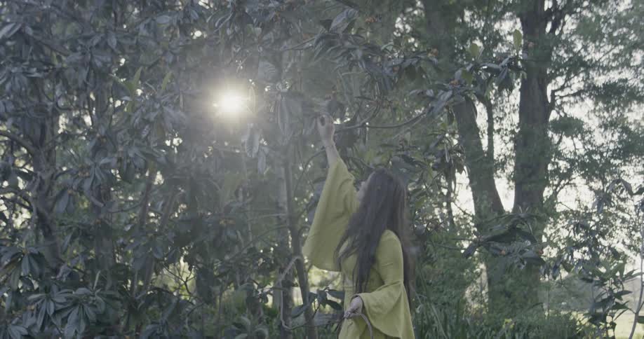 Woman picks at leaves on a tree while holding a basket