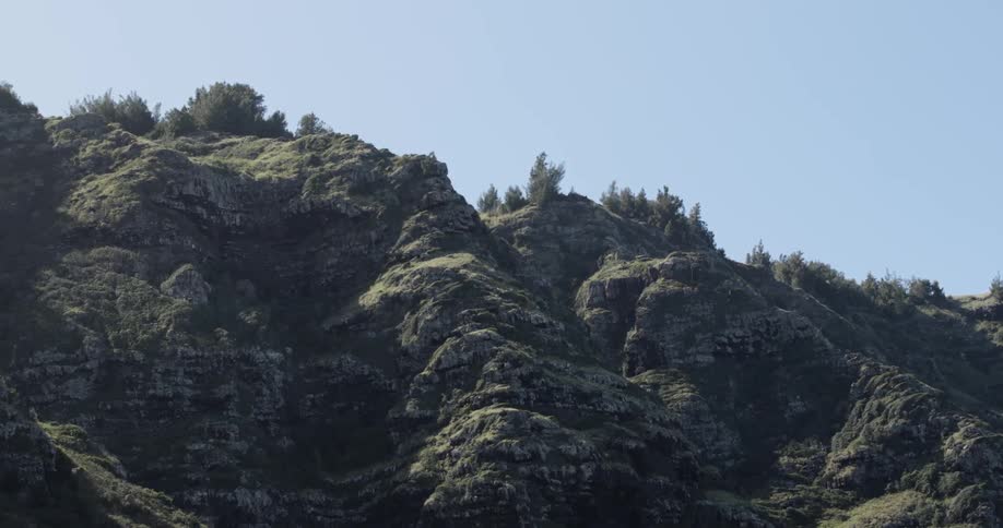 Trees on top of a rocky cliff on a sunny day