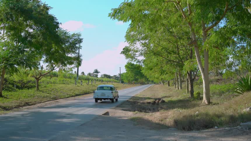 Purple car drives down a country road on a sunny day