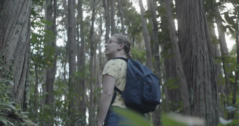 A woman hikes through the woods
