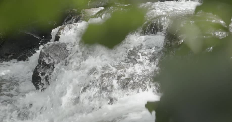 Water is falling down a small waterfall in the woods