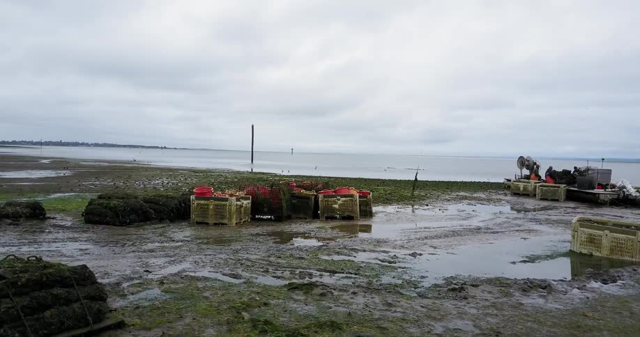 Crates sit on a muddy shoreline