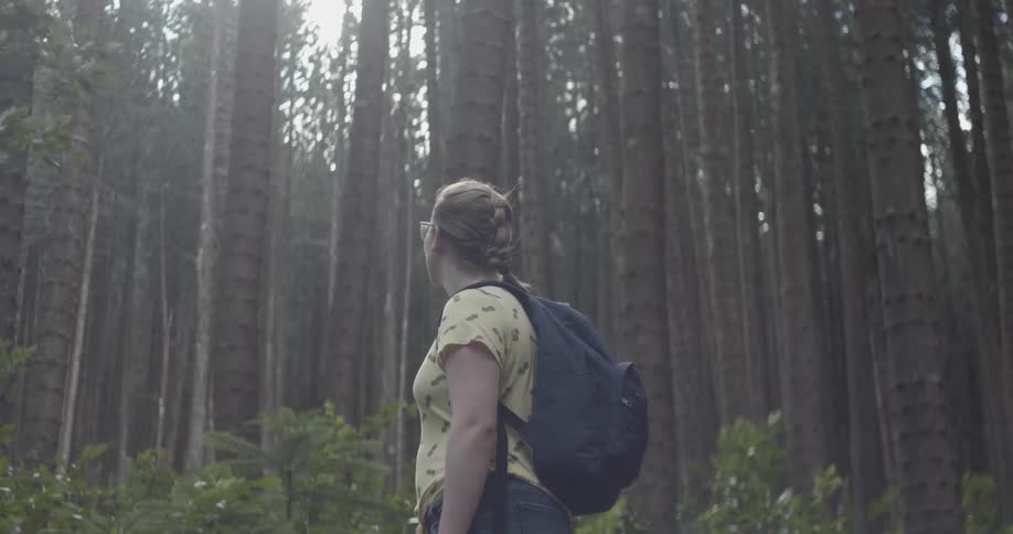 Woman wearing a backpack looks up at the tall trees in the forest