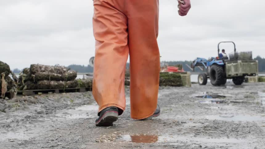 A man wearing waders walks toward equipment at the water's edge