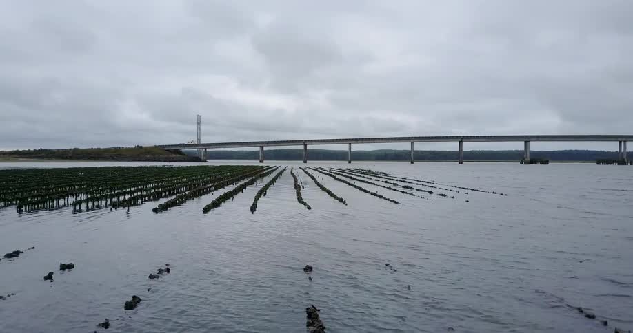 Water is flooding the grasslands with a bridge in the distance