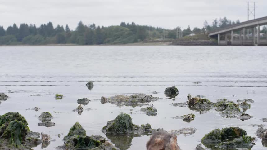 Water flows up to rocks on the beach