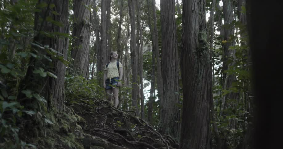 A woman looks around at the trees in a forest