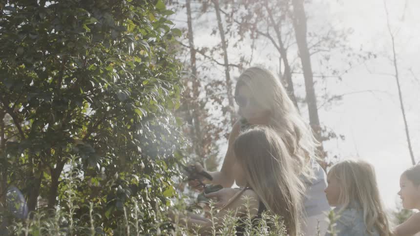 The woman and children walk over to pick flowers from the tree
