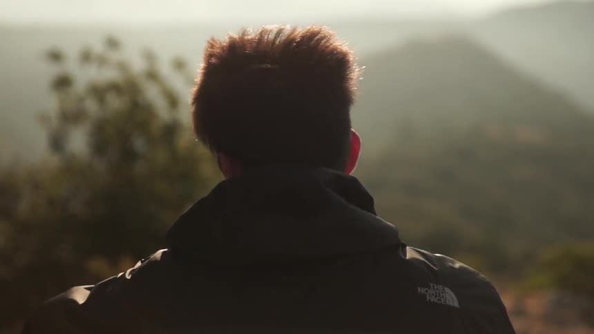 Man looking out over trees on a sunny day