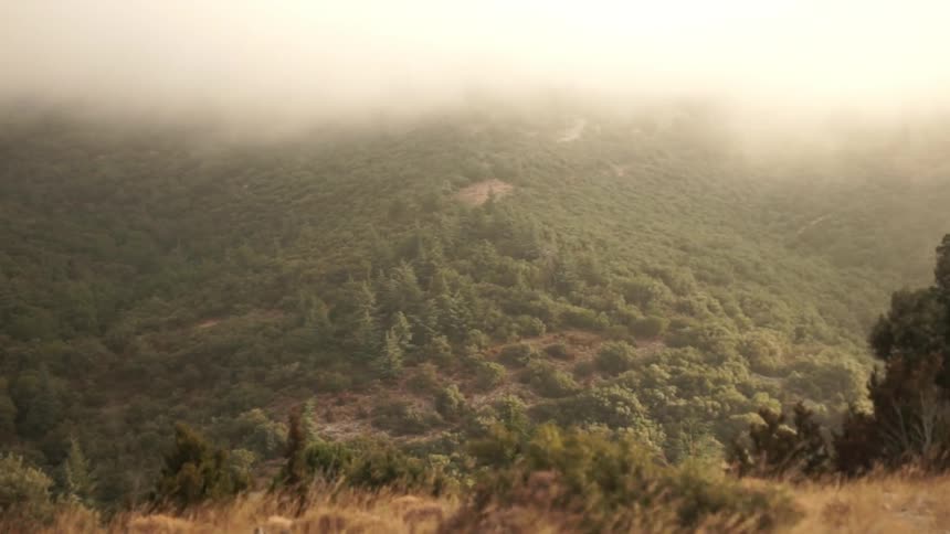 Sun shines over foggy landscape