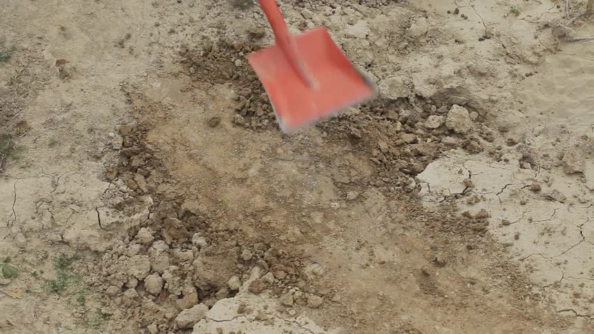 Someone places and beats down dirt with a red shovel