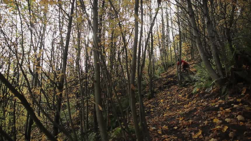 Man riding bike quickly down a hill in a forest