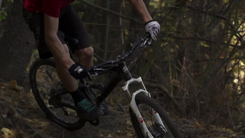 A man rides a bicycle in the woods
