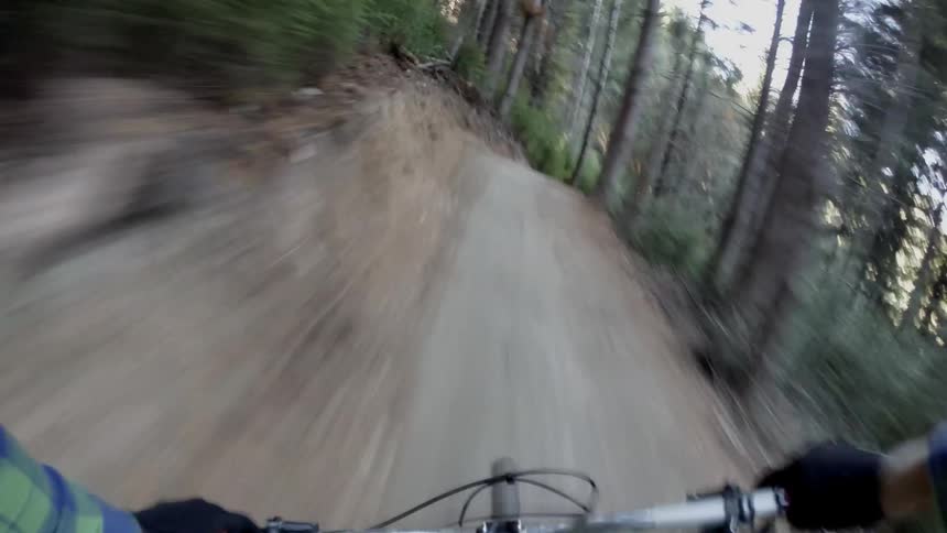First person view of riding a bike down a narrow forest path