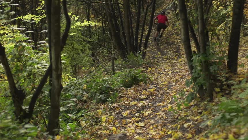 Man quickly riding his bike through a leafy forest