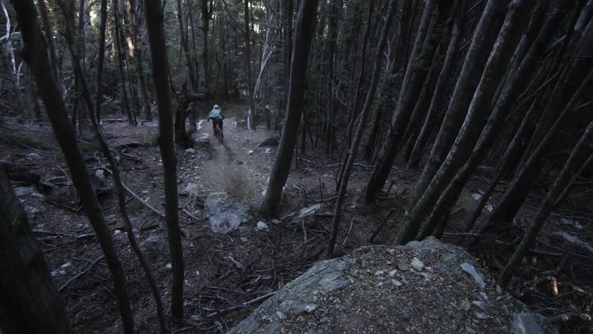 A man bikes off of a boulder in the forest