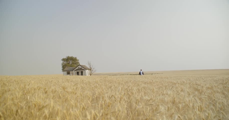 A boy slowly walks through a field towards an isolated house