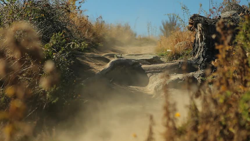 A boy riding his bike along a narrow path that has thick roots sticking up on it