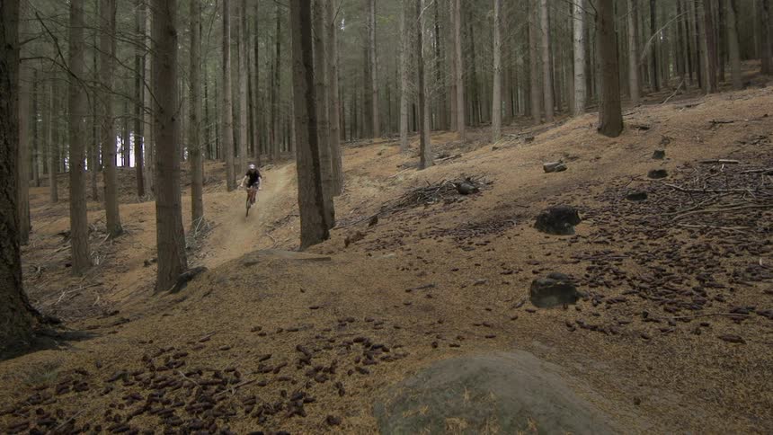 Man riding his mountain bike down a trail in the woods