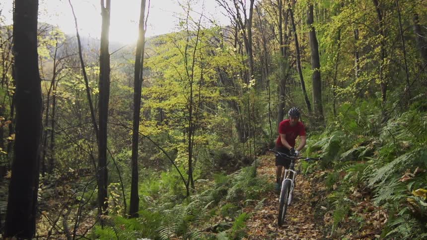 Man walking his bike over a small trail in the woods