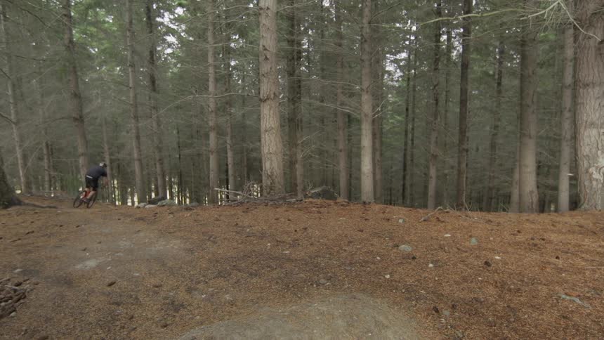 A boy riding and jumping a bike on a forest path