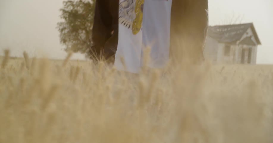 A man is walking through the tall grass