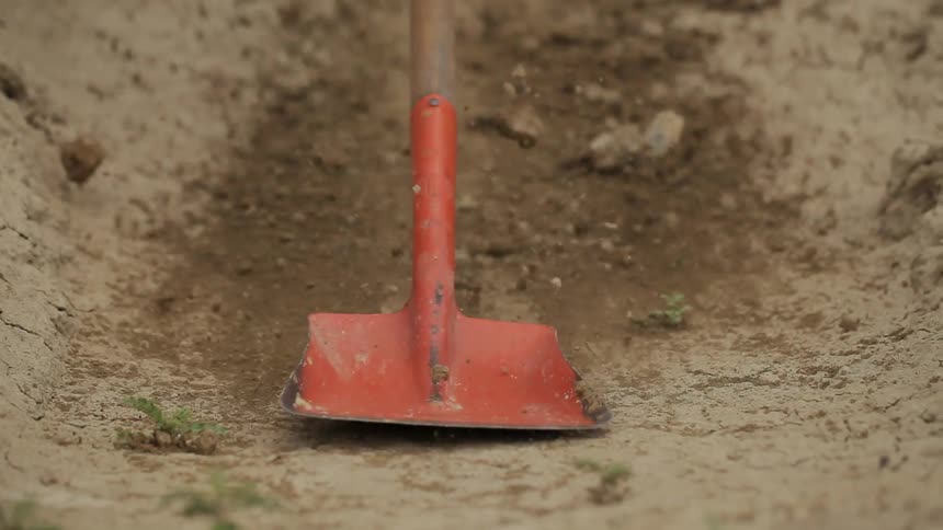 Person using a shovel to smooth out a hill
