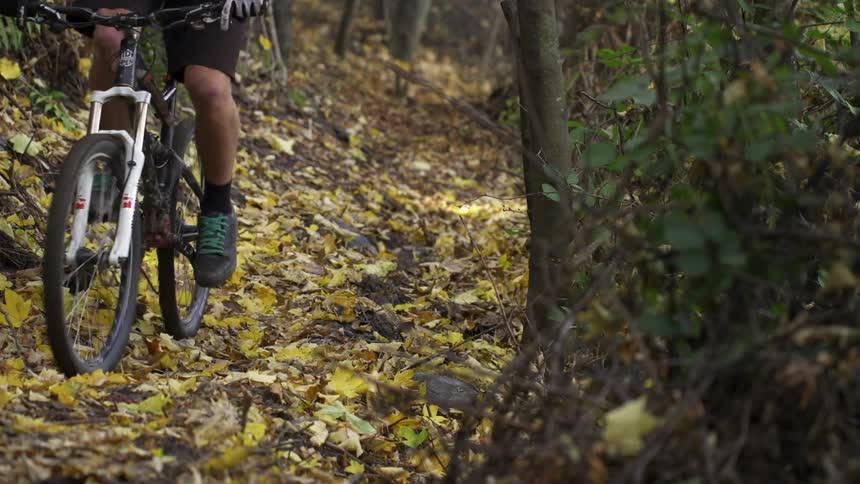 Man rides his bike down a trail with many leaves