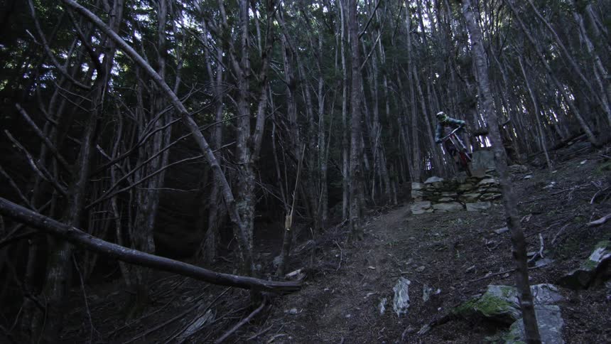 Person riding bike comes downhill in a forest