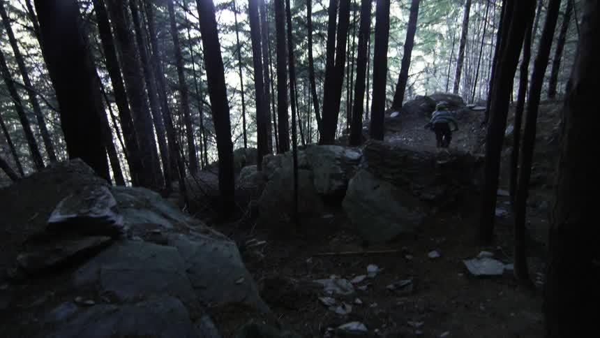 Person doing a jump in the wood on his mountain bike