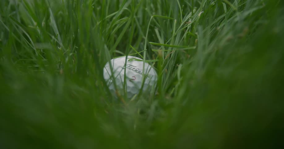 Golf club hits a ball in the grass