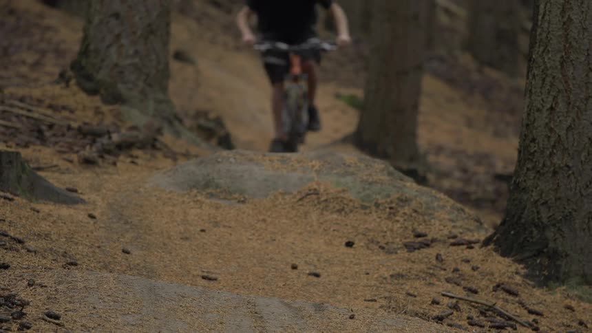 Man riding his bike and jumping in the woods