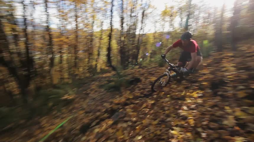 Man riding his bike through leafy forest
