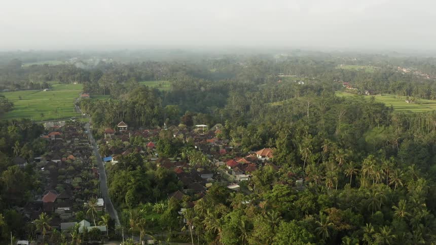 Trees surround homes near a golf course