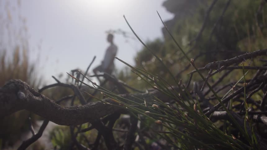 Person stands outside near a mass of tangled branches