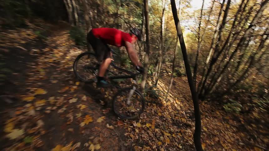 Man riding his bike through leafy forest