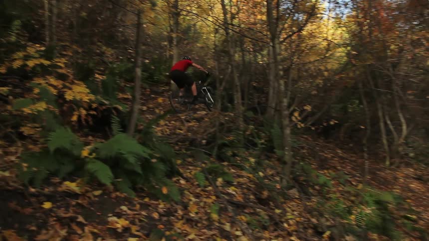 A bicyclist rides through the woods