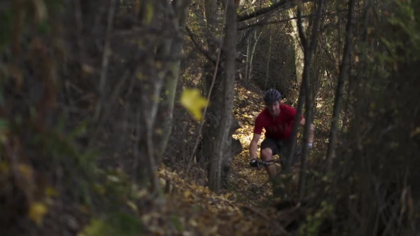 A person rides a dirt bike through the woods