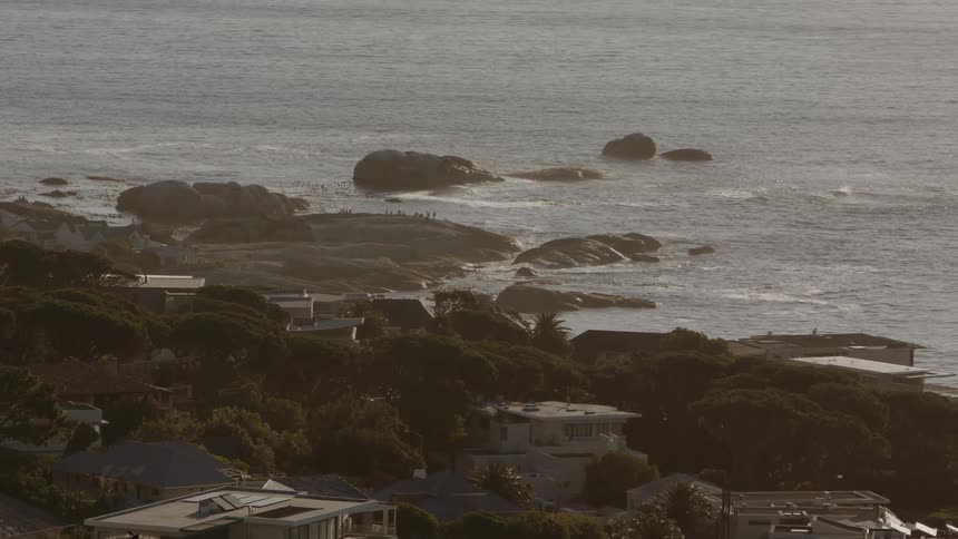 Homes and trees near the ocean shore
