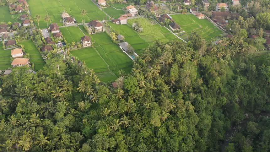Many houses on flat grassy landscape near many trees