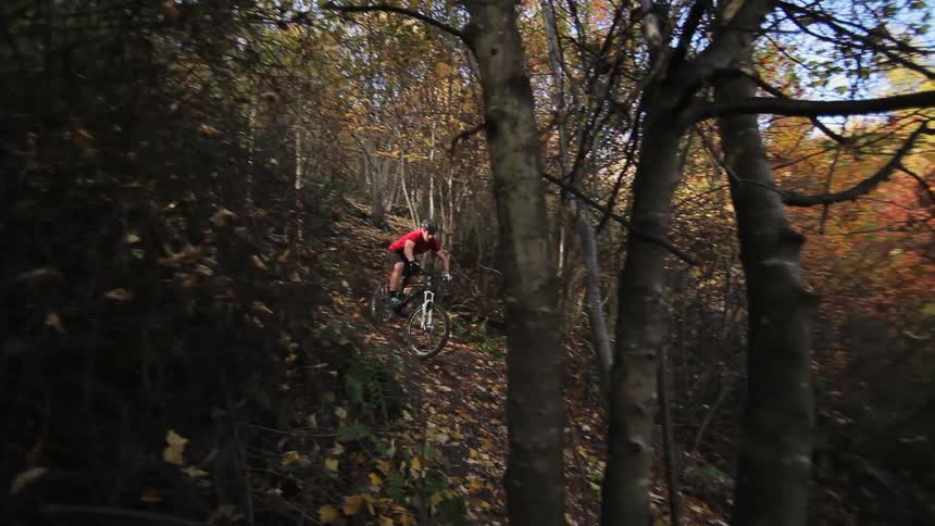 A man riding a bicycle in the woods