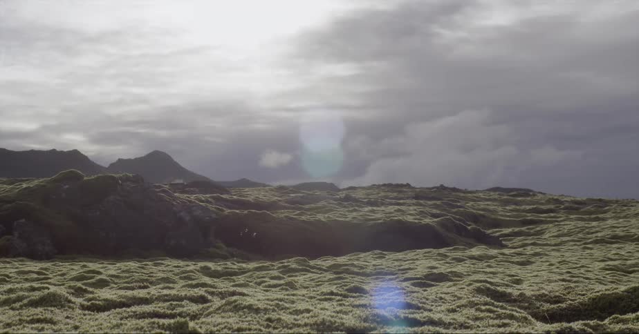 Grass and moss cover the hilly landscape
