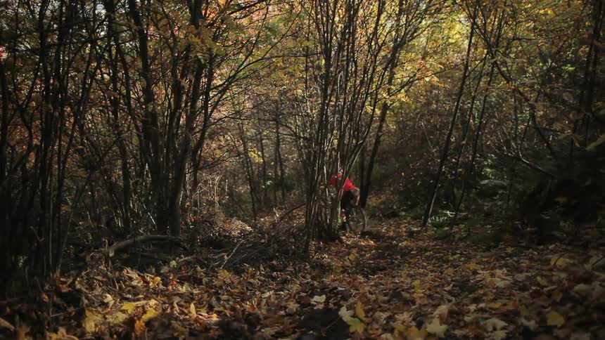 A young man riding a bike down a forest path that is covered in dead leaves