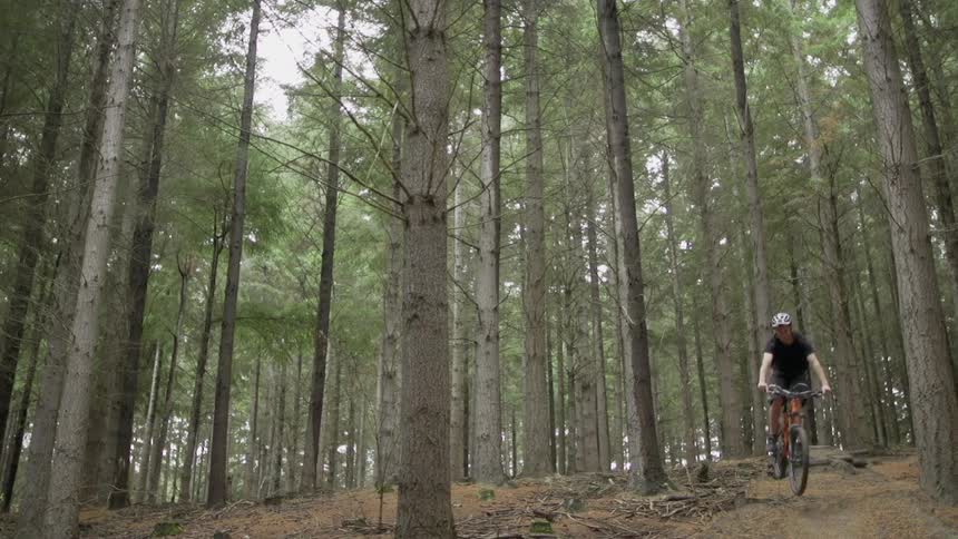 A young man performs a simple stunt on his mountain bike as he goes up a ramp along a pathway in a forest